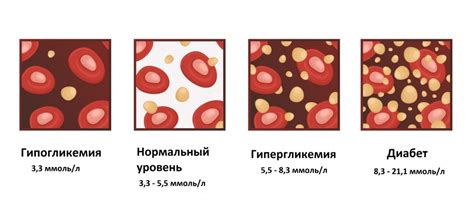 Мифы о сдаче крови на глюкозу: что можно есть перед процедурой?