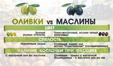 Миф о глотании косточки от маслины и польза от нее