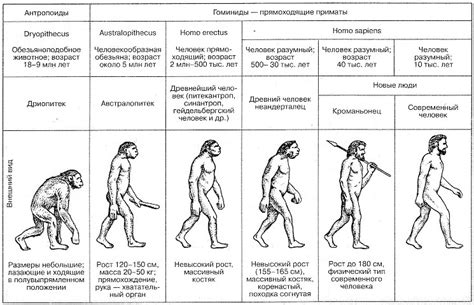 Млекопитающие и их роль в развитии современного человека