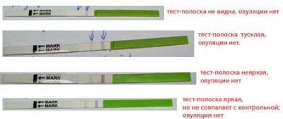 Может ли положительный результат теста быть ошибкой?