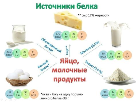 Молочные продукты для достаточного поступления белка