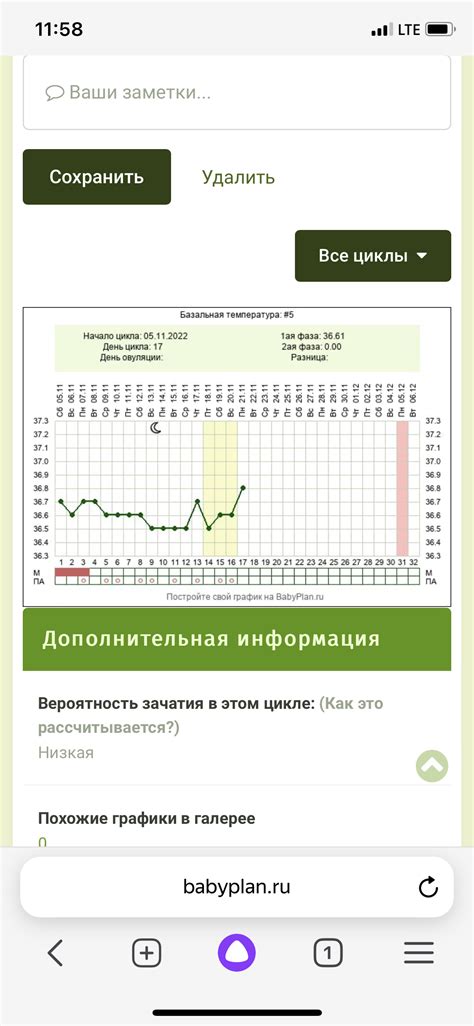 Момент поднятия базальной температуры после зачатия