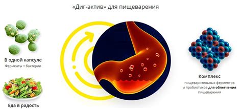 Мотила́к - действенное средство для борьбы с пищеварительными проблемами