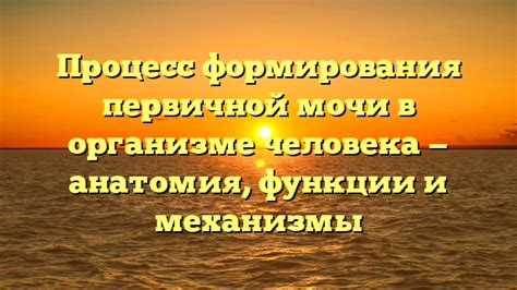 Моча и ушиб: где и когда можно применить этот необычный способ?