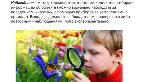 Наблюдай за поведением