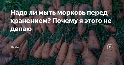 Надо ли добавлять морковь?