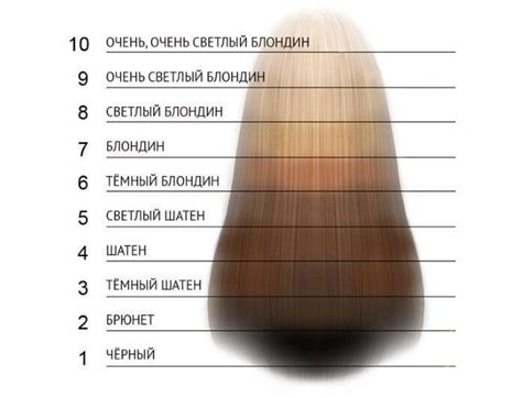 Нанесение базовых тонов и цветов
