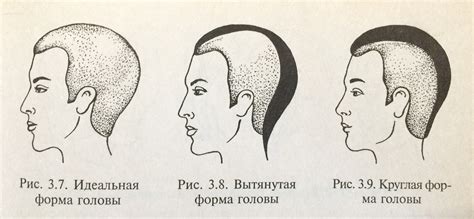 Нанесение круглой формы головы