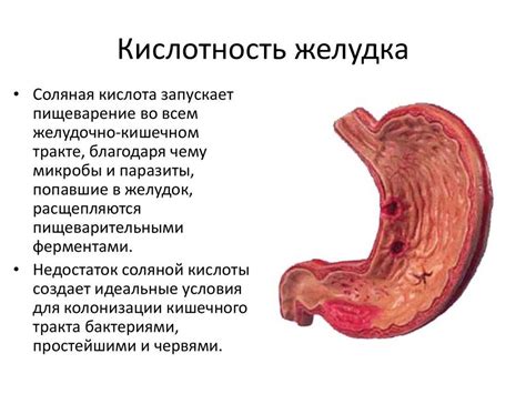 Нарушения пищеварения и кислотности желудочного сока