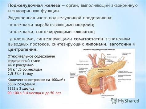 Нарушения поджелудочной железы