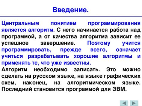 Насколько долго продлилась ее работа над программой