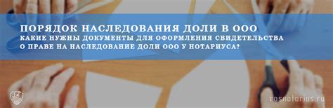 Наследование доли в ООО по закону