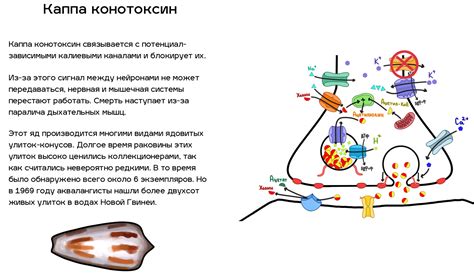 Наследственный импульс познания