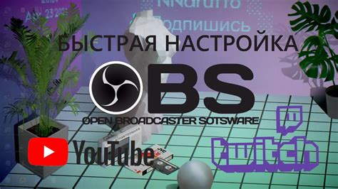 Настройка OBS для стрима на Твиче