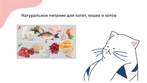 Натуральное питание для котят