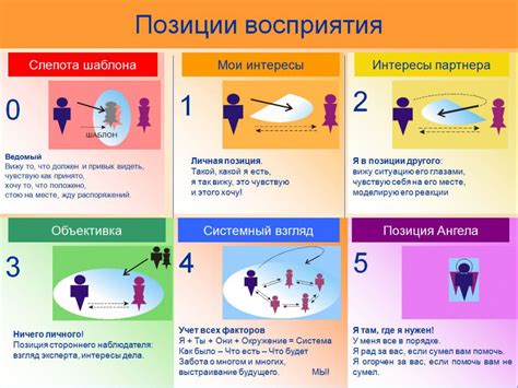 Научная точка зрения: насколько человек подвержен инфекции блохами?