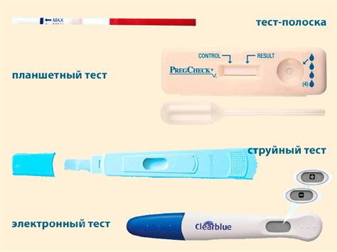 Научное обоснование тестов на беременность