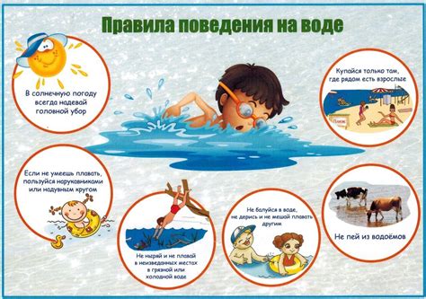 Научные данные о безопасности святой воды для животных