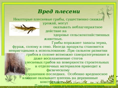 Неблагоприятное влияние на урожай