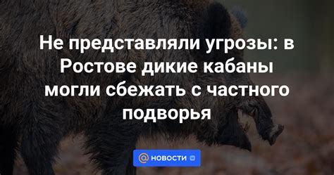 Невозможность сбежать от угрозы