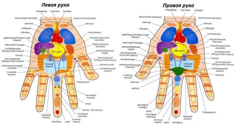 Нервное сжатие и состояние пальцев