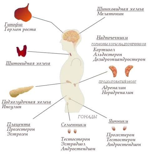 Неустойчивая психика и гормональный фон