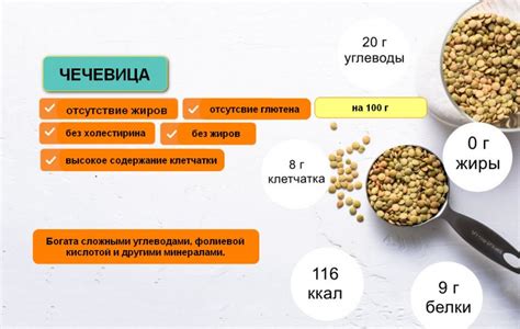 Низкокалорийность и богатый состав чечевицы