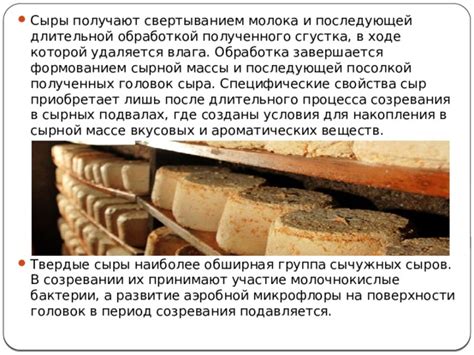 Обработка и хранение полученного сыра