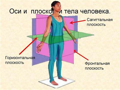 Обратите внимание на положение тела и руки