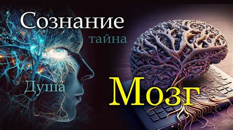 Обратная связь: ваш опыт потери чувствительности от душа