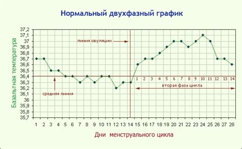 Овуляция и базальная температура