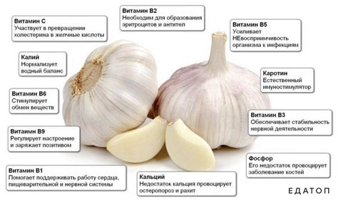 Ограничения по употреблению чеснока при ротовирусе