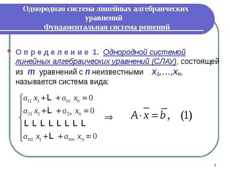 Однородная система с бесконечным количеством решений