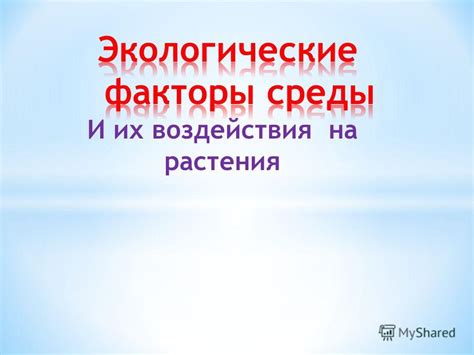 Опасности возможного воздействия мочи на растения