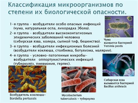 Опасности некоторых микроорганизмов