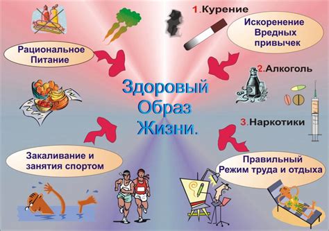 Определение здорового образа жизни