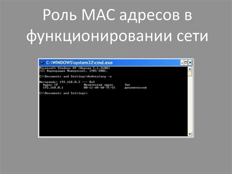 Определение и роль MAC-адреса в операционной системе Linux