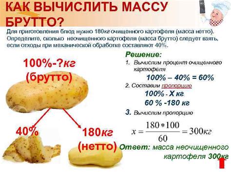 Определение массы брутто картофеля