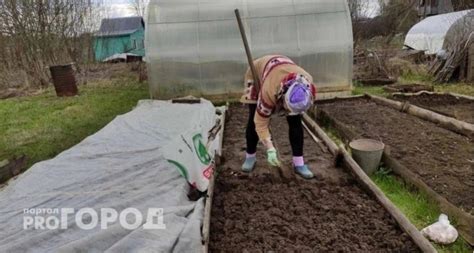 Определение наилучшей даты для посадки моркови