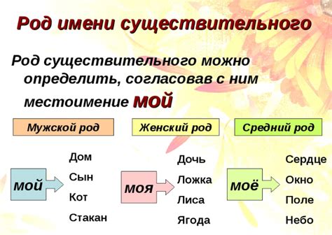 Определение понятия "род существительного"