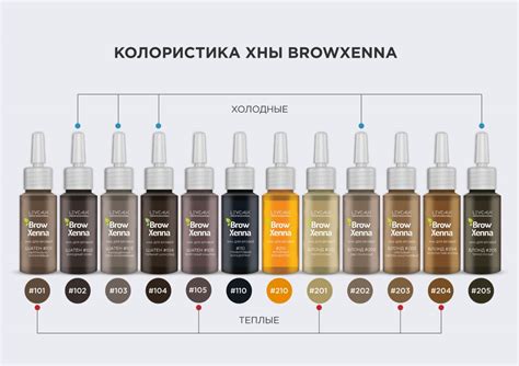 Оптимальное время действия хны: сроки избавления от цвета