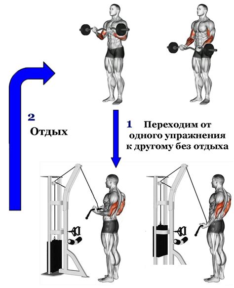 Оптимальное время между полировками