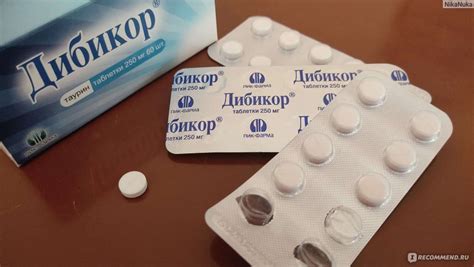 Оптимальное время приема Дибикора