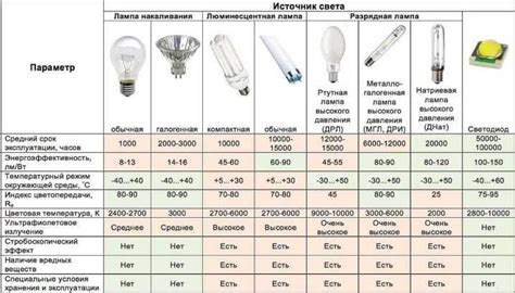 Оптимальные условия освещения для туи