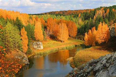 Осень - время усыпальницы природы