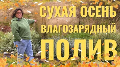 Осень. Влагозарядный полив.