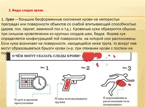 Осмотр места происшествия: нужно ли откладывать его?