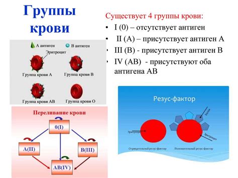 Основные критерии группы крови