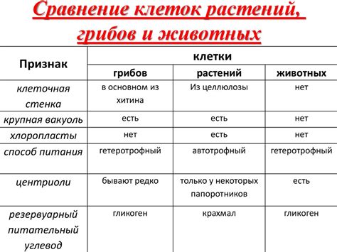 Основные различия и сходства!