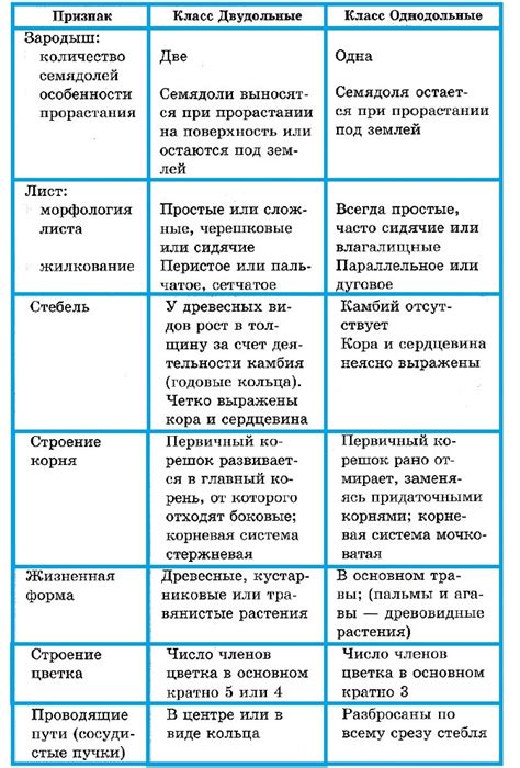 Основные различия между "of" и "off"